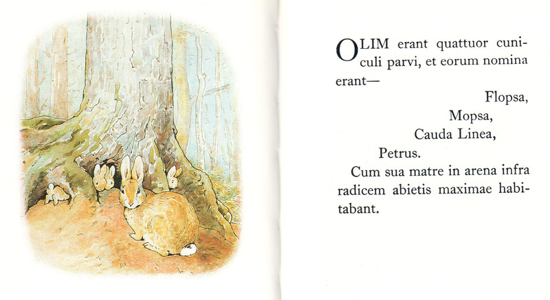 Opening of Book 19